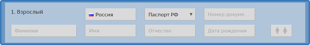 Введите данные о пассажирах